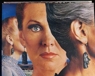 Vintage Vinyl Albums- Styx