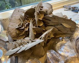 Desert Rose large specimen