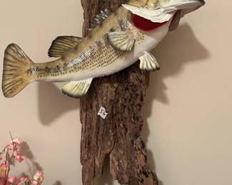 #56	Mounted Bass on Driftwood - 20" Tall	 $50.00 			
