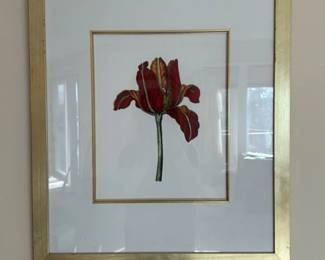 Botanicals (9) Framed Print