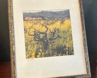 “Napa Valley” framed print