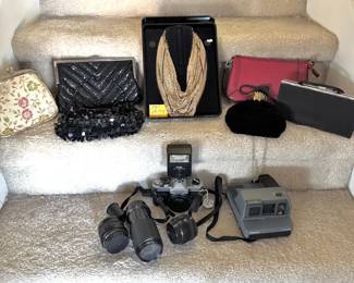 Whiting Davis Collar, Sold By Maggie Noire 70's, Vintage Purses, Cameras