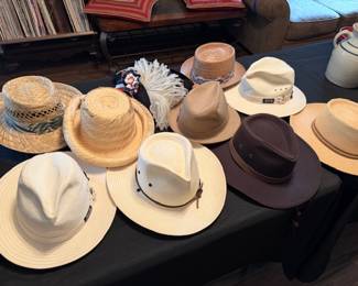 Selection of Men’s Hats