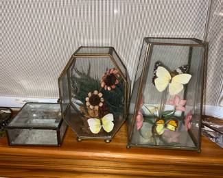 ornamental glass coffin terrariums