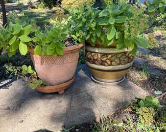 Large Pots