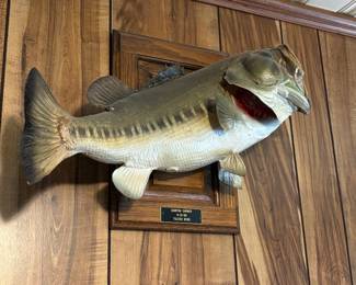 Fish Mount