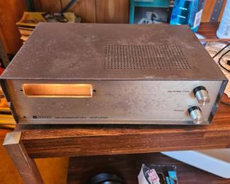 Pioneer Eeverberation amp