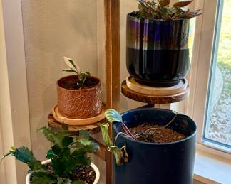 Potted Plants and Wood Plant Stand.