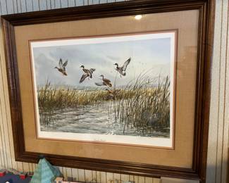 Framed Wildlife Art