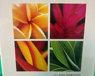 Peter Lik Elements 4 Pack 