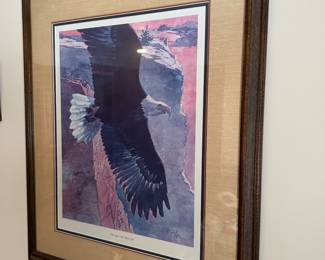 Framed Eagle Print