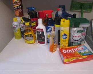 Cleaning Supplies & Chemicals