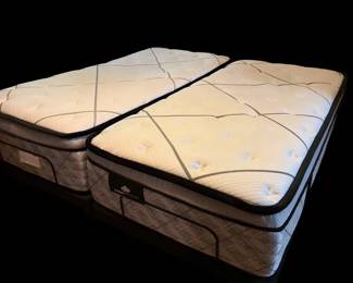 Adjustable KingSize Bed