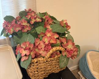 Wicker basket with plant