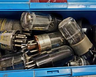 Bulbs waiting to pass the test...