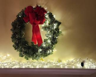 Merry and bright with a bed of lightsl