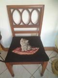 Occasional chair with cat needlepoint seat