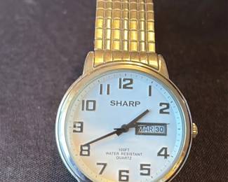 Sharp Men's Quartz Watch with Day-Date Function