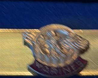 United States Marine Corps Money Clip and Pen Set