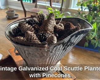 Vintage Galvanized Coal Scuttle Planter with Pinecones