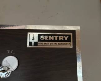 Sentry Fire Safe