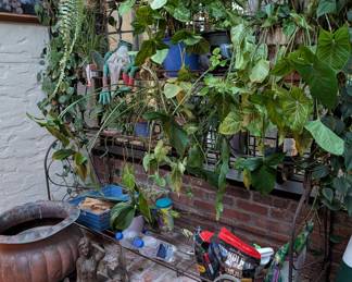 Plants for Sale, Plant / Baker's Rack for Sale