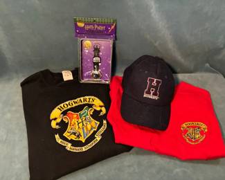 Harry Potter Adult And Childrens Clothing