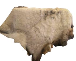 Elk hide