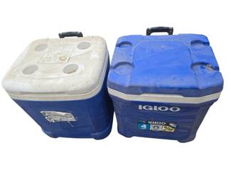 Igloo coolers