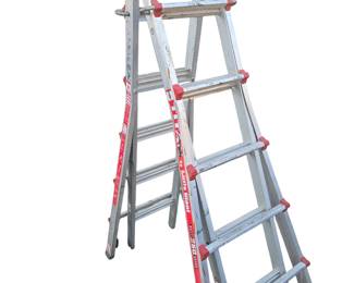 Little Giant ladder