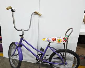 	Purple Western Flyer Youth Bicycle