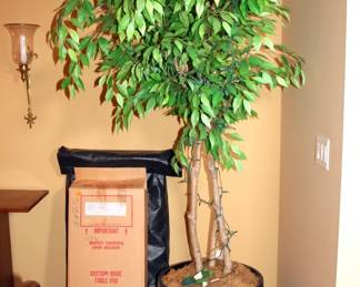 Artificial Trees & Plants

