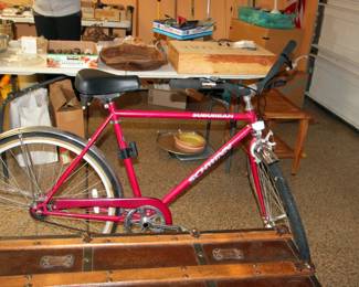 Schwinn Suburban Bike

