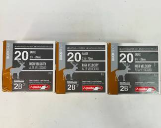 Aguila 20 Gauge Buckshot