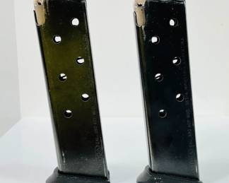 Bersa 380 Magazines