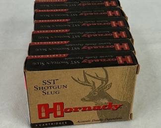 Hornady 20 Gauge SST