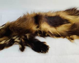 Full Wolverine Pelt