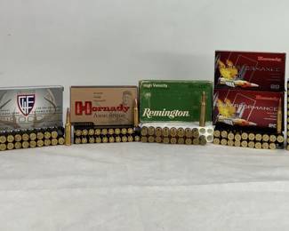 Assorted Ammunition
