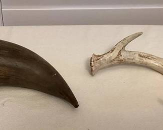 MMP055 Horn & Antlers