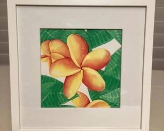 MMP041 Framed Limited Edition Print Of Plumeria Flowers 