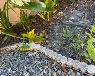 ROCKS AND BORDER AND PLANTS ALL FOR SALE!
