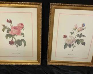 P.J. Redoute Flower Book Prints  X2 