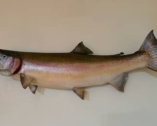Rainbow Trout Replica Mount