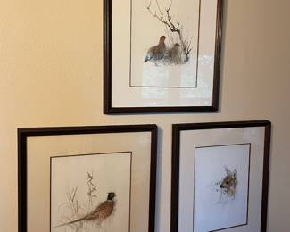 Framed & Matted Wildlife Prints by Mads Stage