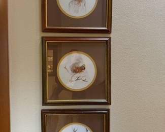 Framed & Matted Wildlife Prints by Mads Stage
