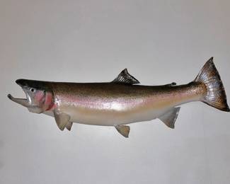 Rainbow Trout Replica Mount