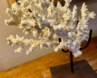 White Branch Coral with Stand