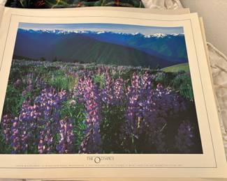 1987 American Art Marketing Guild "The Olympics" Print