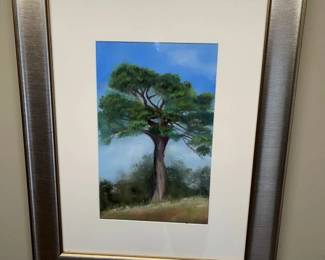 1 Joanne Sonsire Umbrella Pine Original Watercolor min