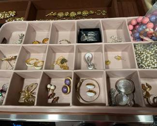 earrings and brooches 